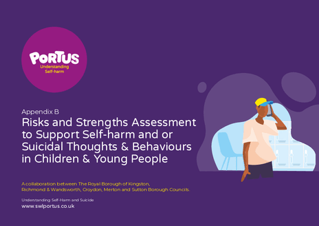 Risks and Strengths Assessment