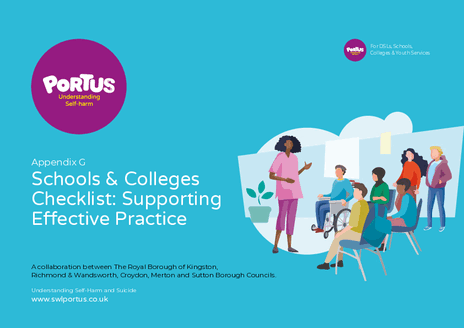 Schools &amp; Colleges Checklist: Supporting Effective Practice